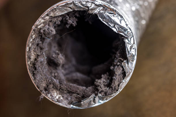 Best Air Duct Cleaning Near Me in Riverview, FL